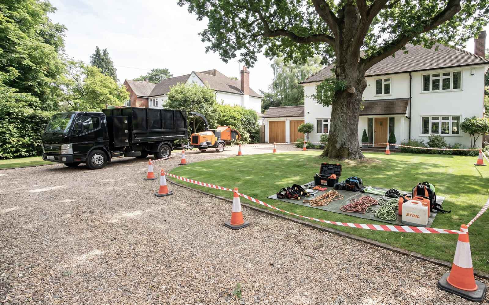 Green Wood Tree Surgery Work