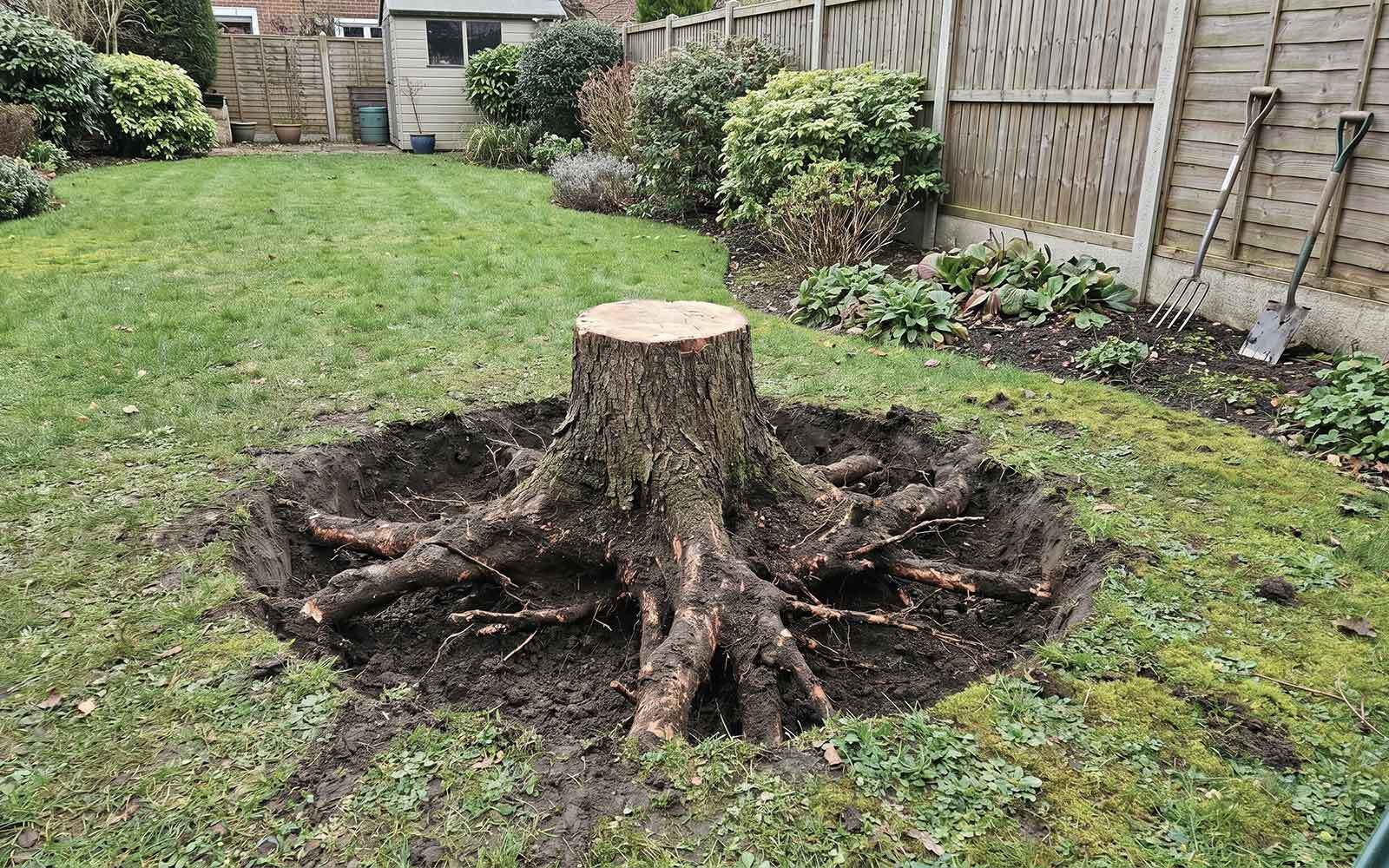 Green Wood Tree Surgery Work
