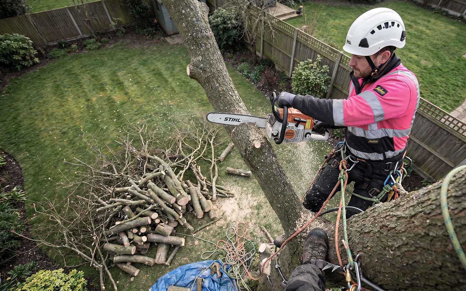 Green Wood Tree Surgery Work